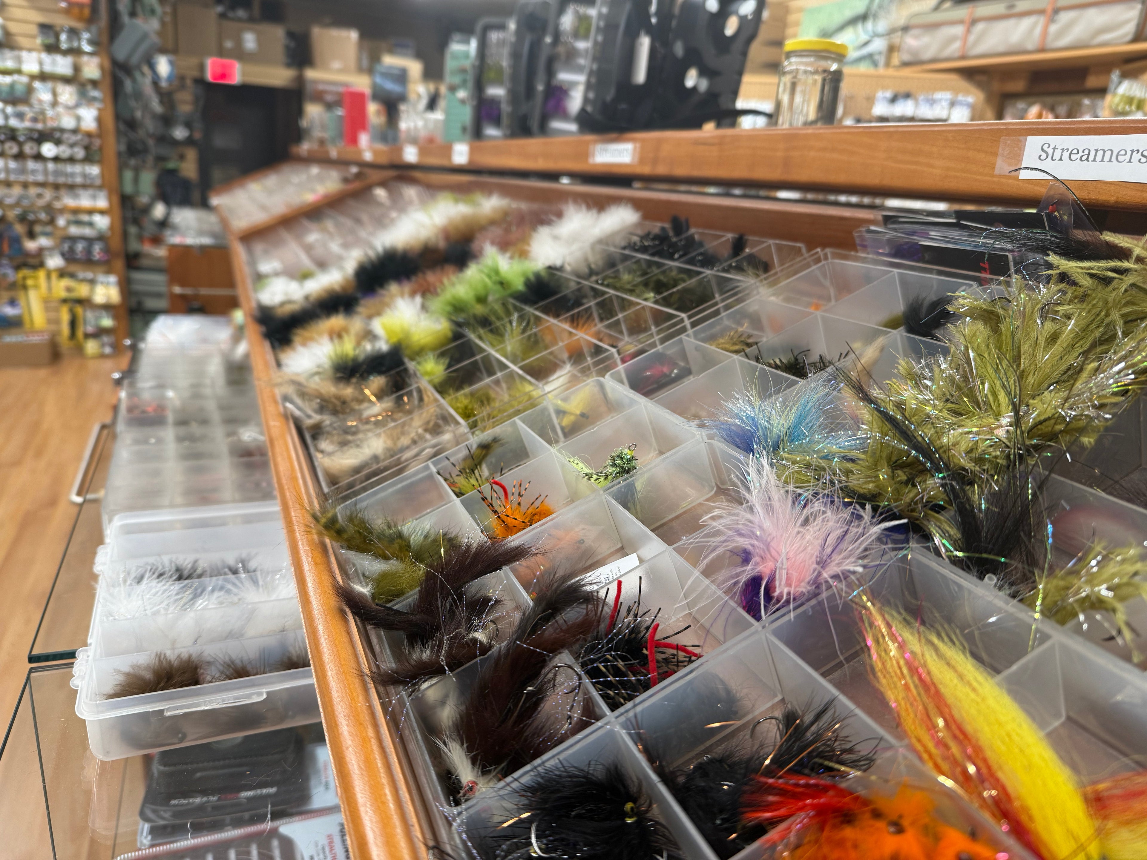 Freshwater Flies