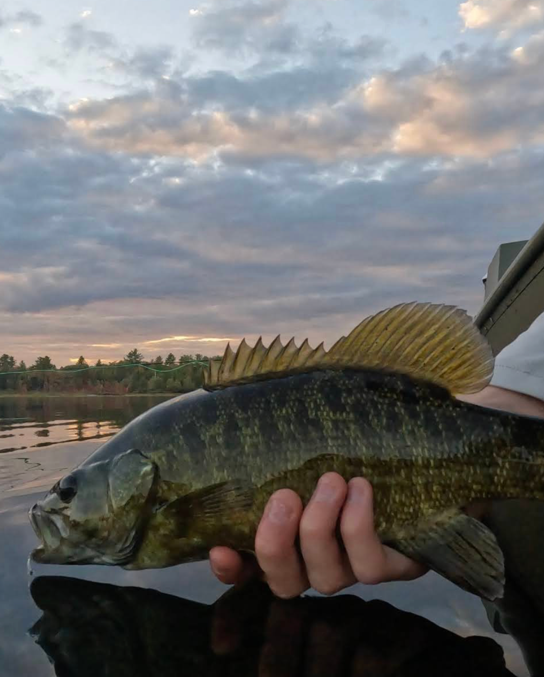 Freshwater