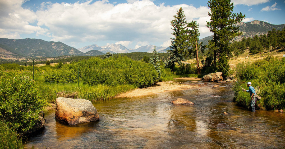 Thomas & Thomas Avantt II