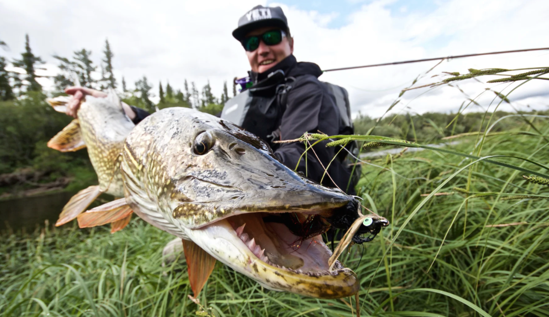 Thomas & Thomas Exocett Predator