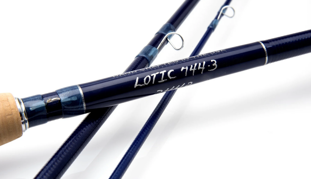 Thomas & Thomas Lotic