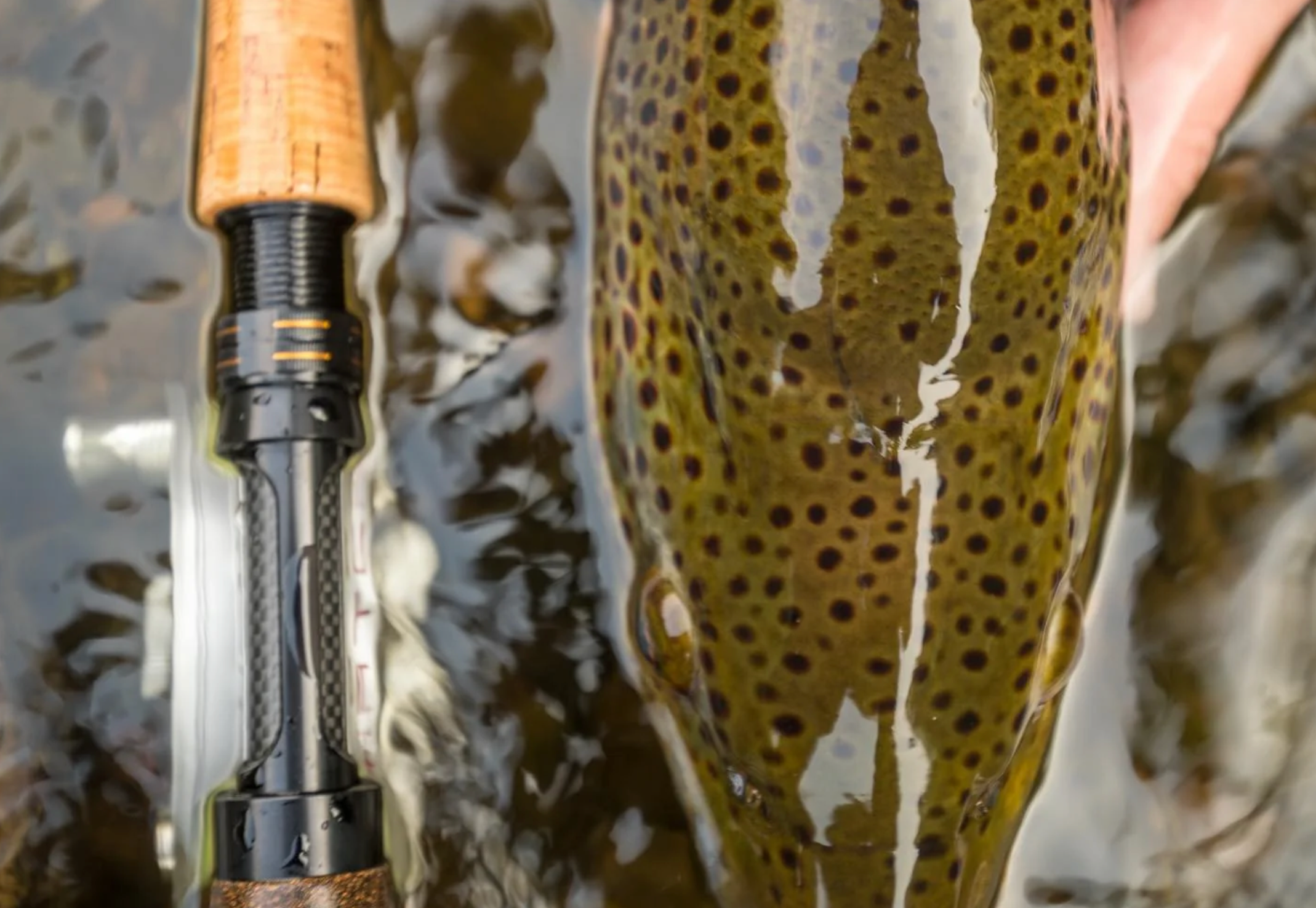 Cortland MKII Series Fly Rod - Euro Style Nymphing