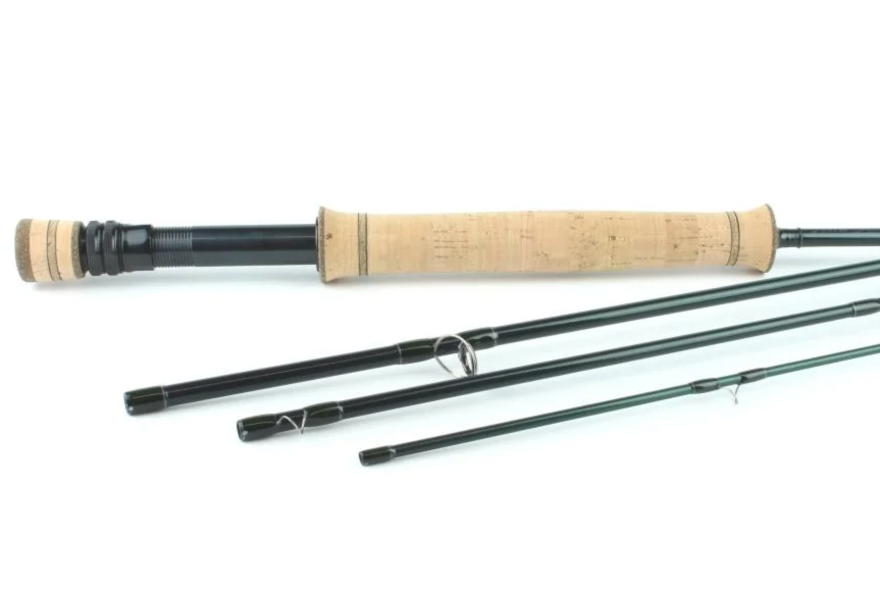 CF Burkheimer Sea trout