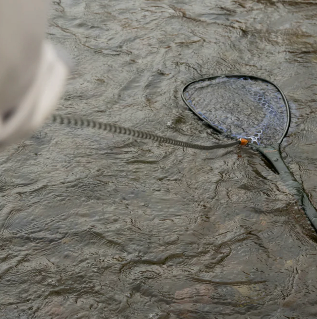 Fishpond Confluence Net Release 2.0