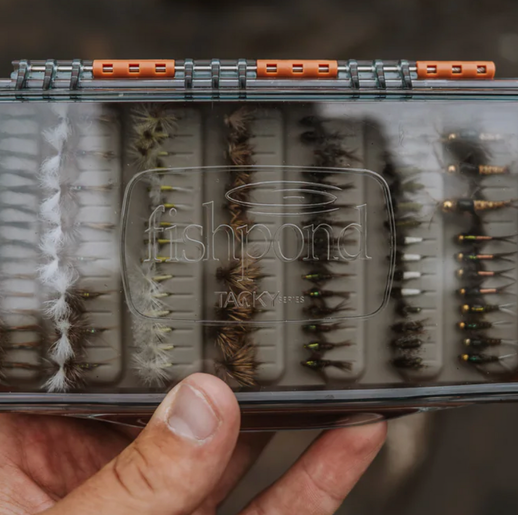 Fishpond Tacky Pescador Medium Clear Fly Box