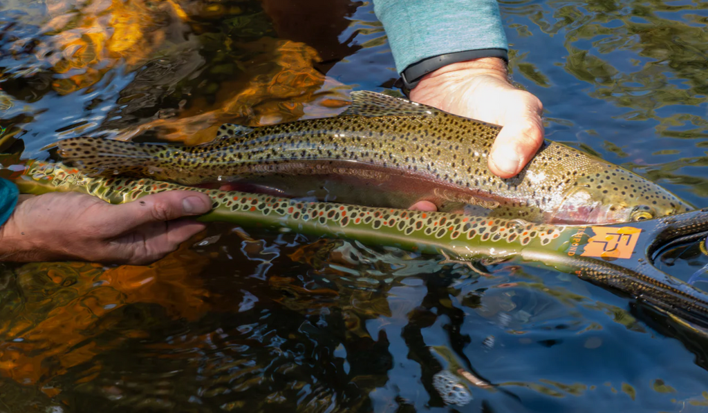 Fishpond Nomad® Middle Fork Net