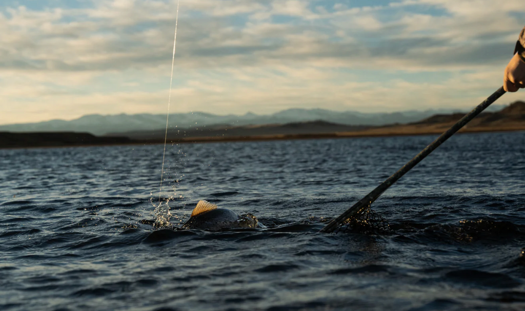 Fishpond Nomad® Boat Net