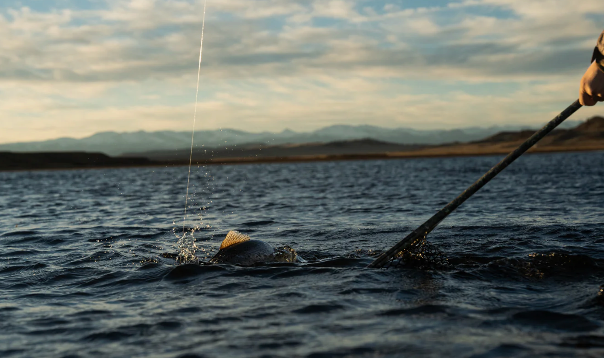 Fishpond Nomad® Boat Net