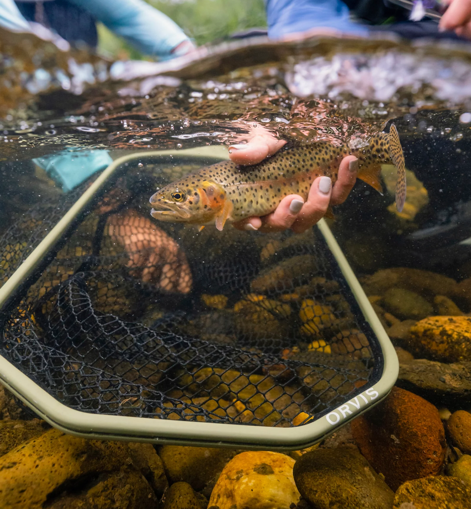 ORVIS Wide-Mouth Guide Net