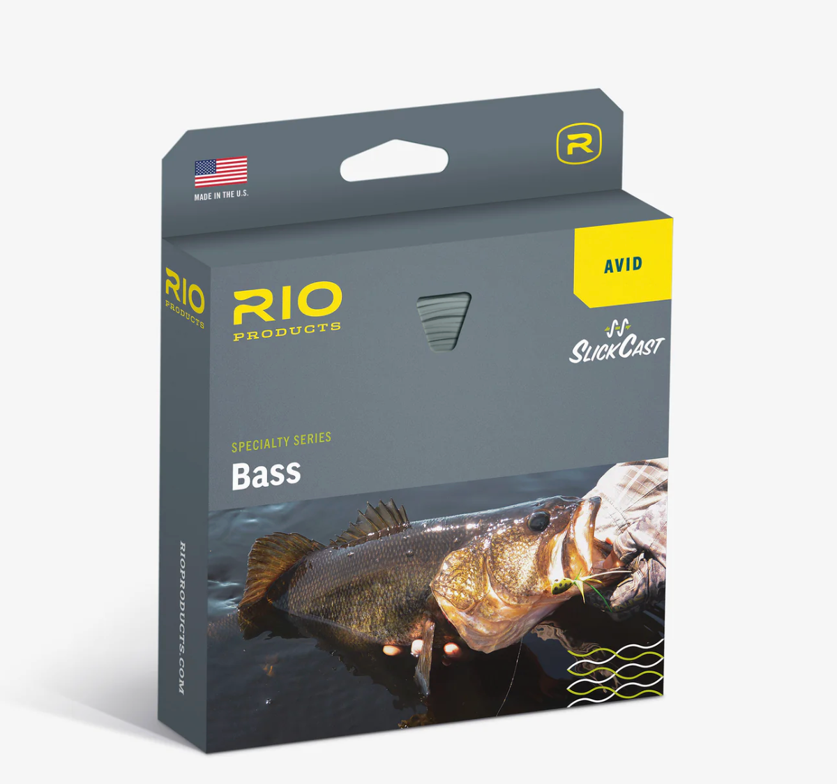 Rio Avid Bass Lines