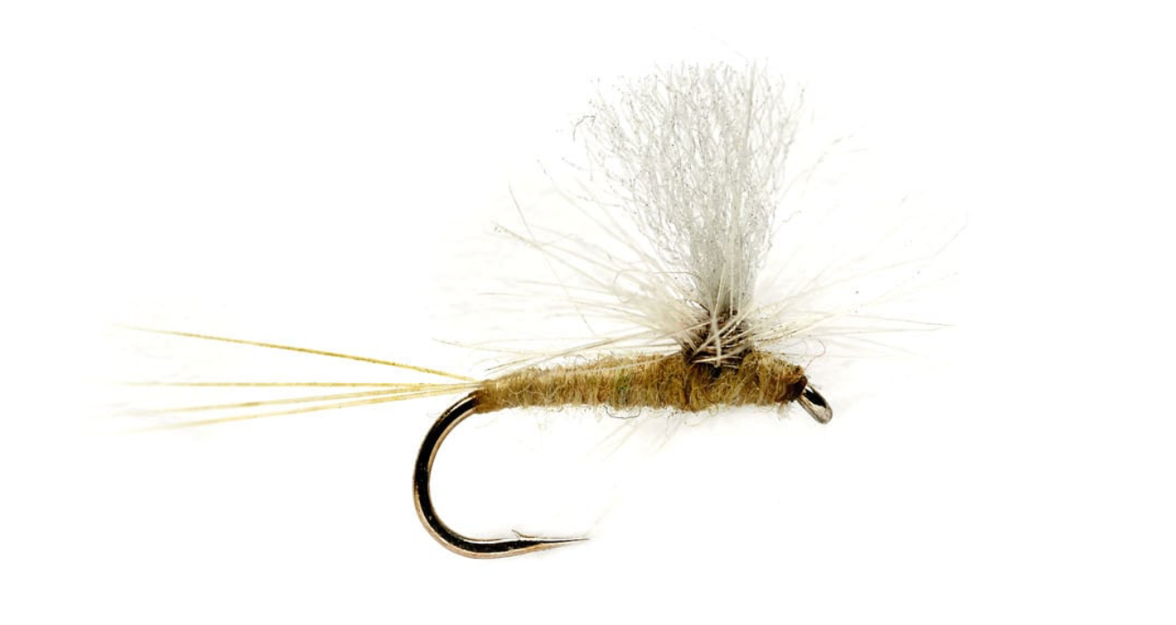 Paradun Olive s21 fly