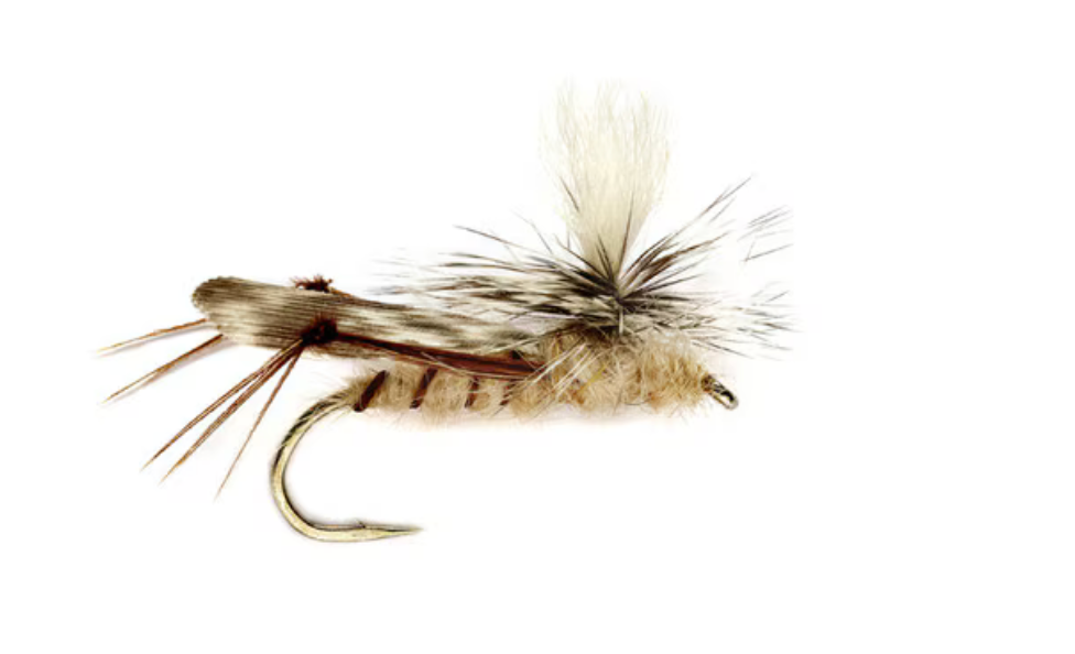 Fullingmill Schroeders Para hop tan