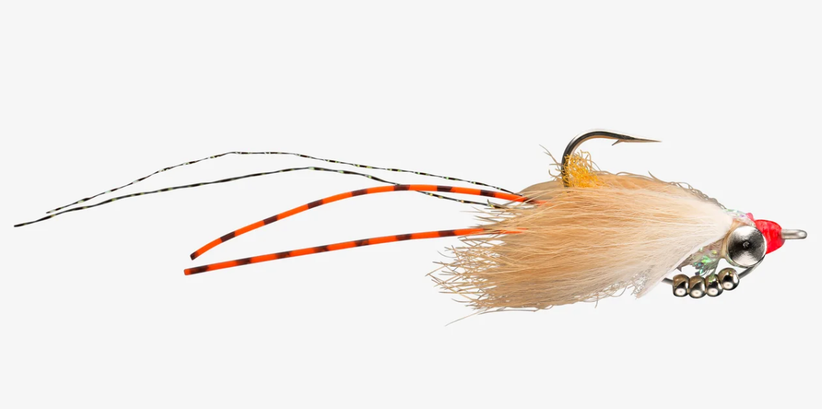 Rio Avalon Light sz 2