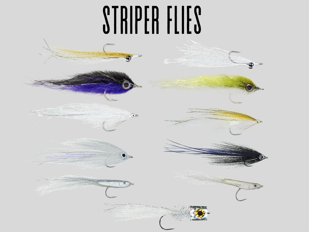 Striper Fly Bundle