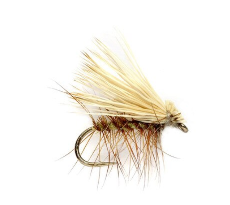 Elk Hair Caddis Olive