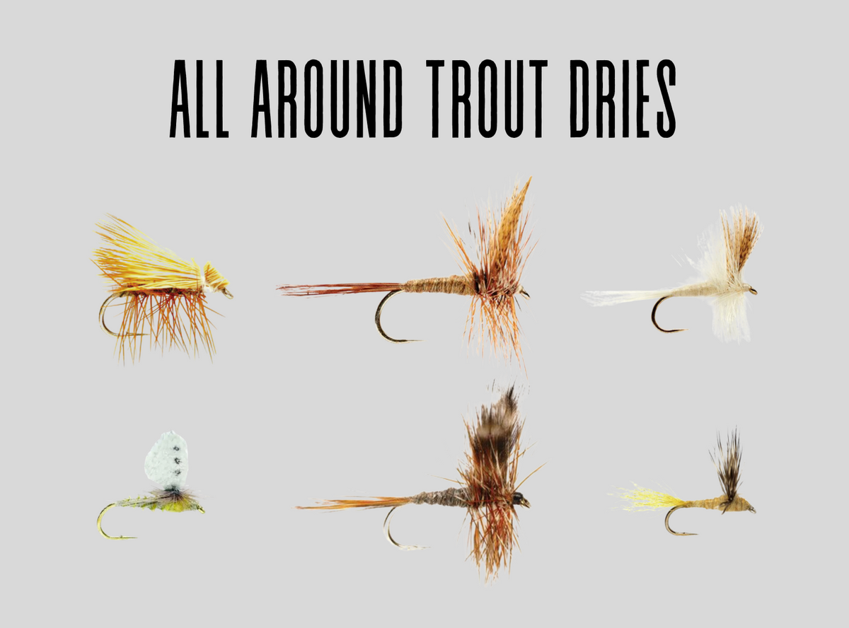 All Around Trout Dry Fly Bundle