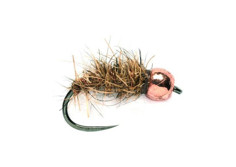 Fullingmill Copper Bug Nymph